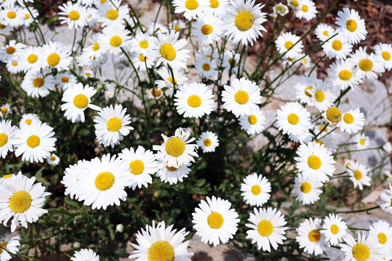 인천 서구 보청기 가격 싼 곳(할인)