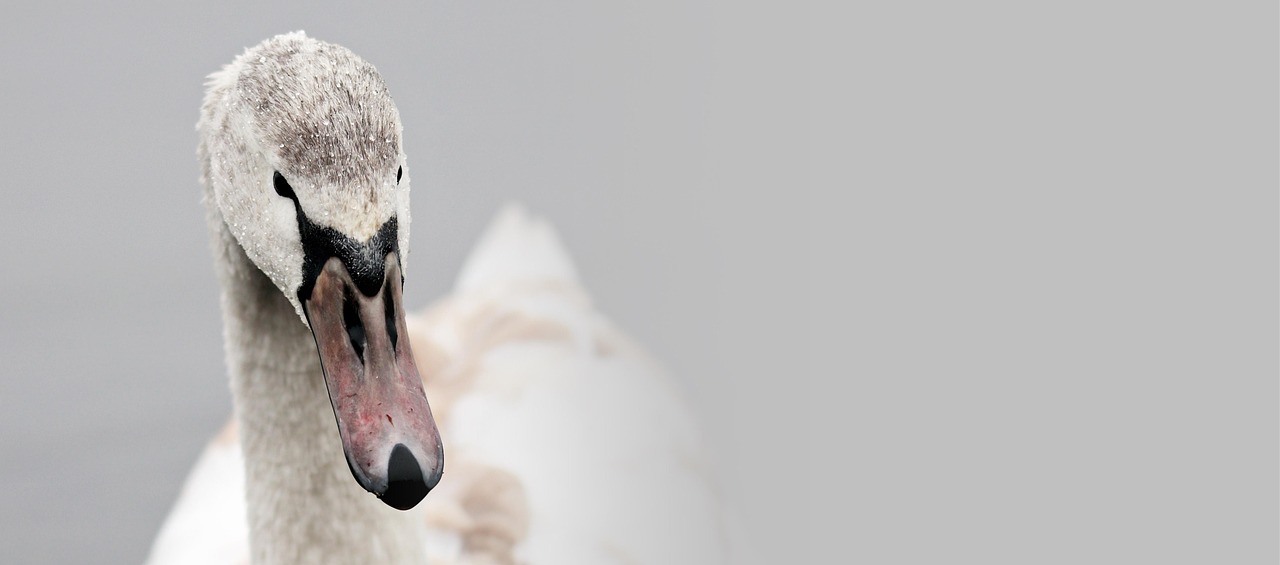 시그니아보청기 미아센터