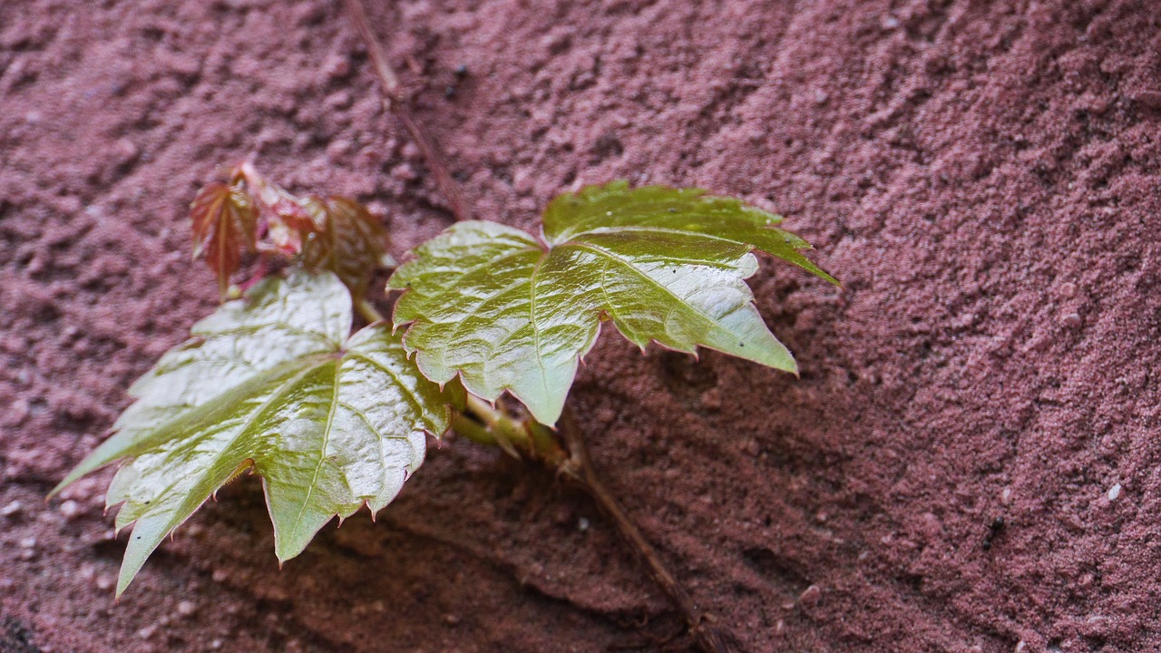 인천 계양구 개인회생