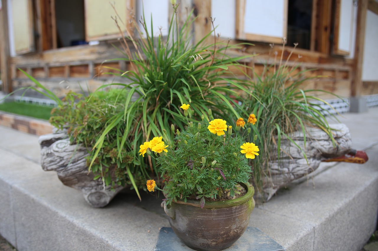 오티콘보청기부천점