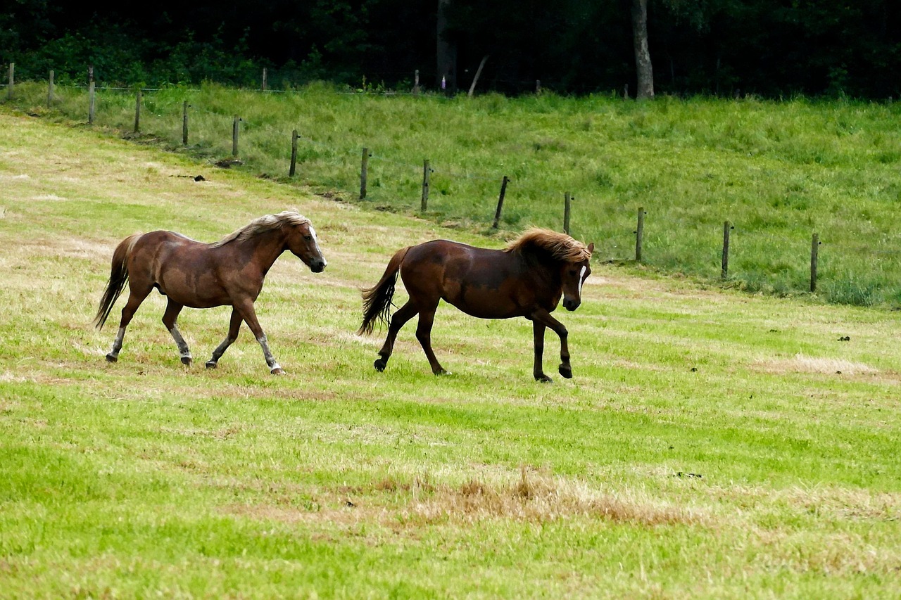 대구보청기렌탈