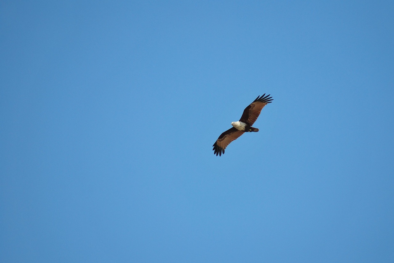 귓속형보청기 울림