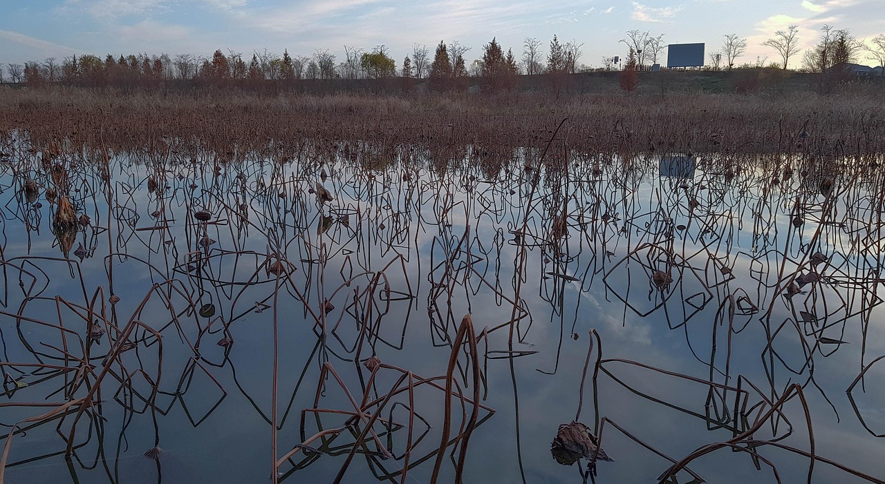 익산 보청기 가격 싼 곳