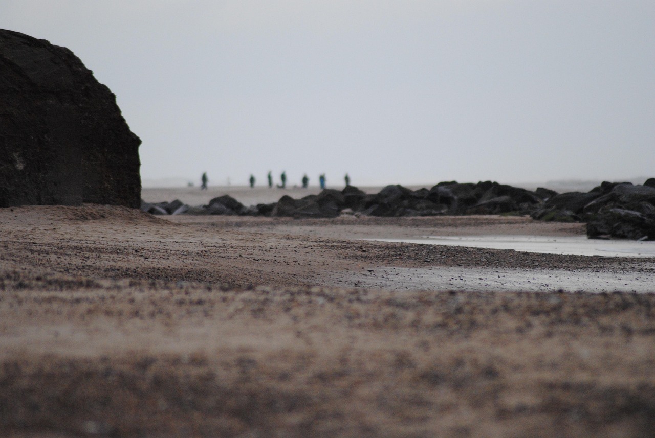 덴마크오티콘 보청기 가격