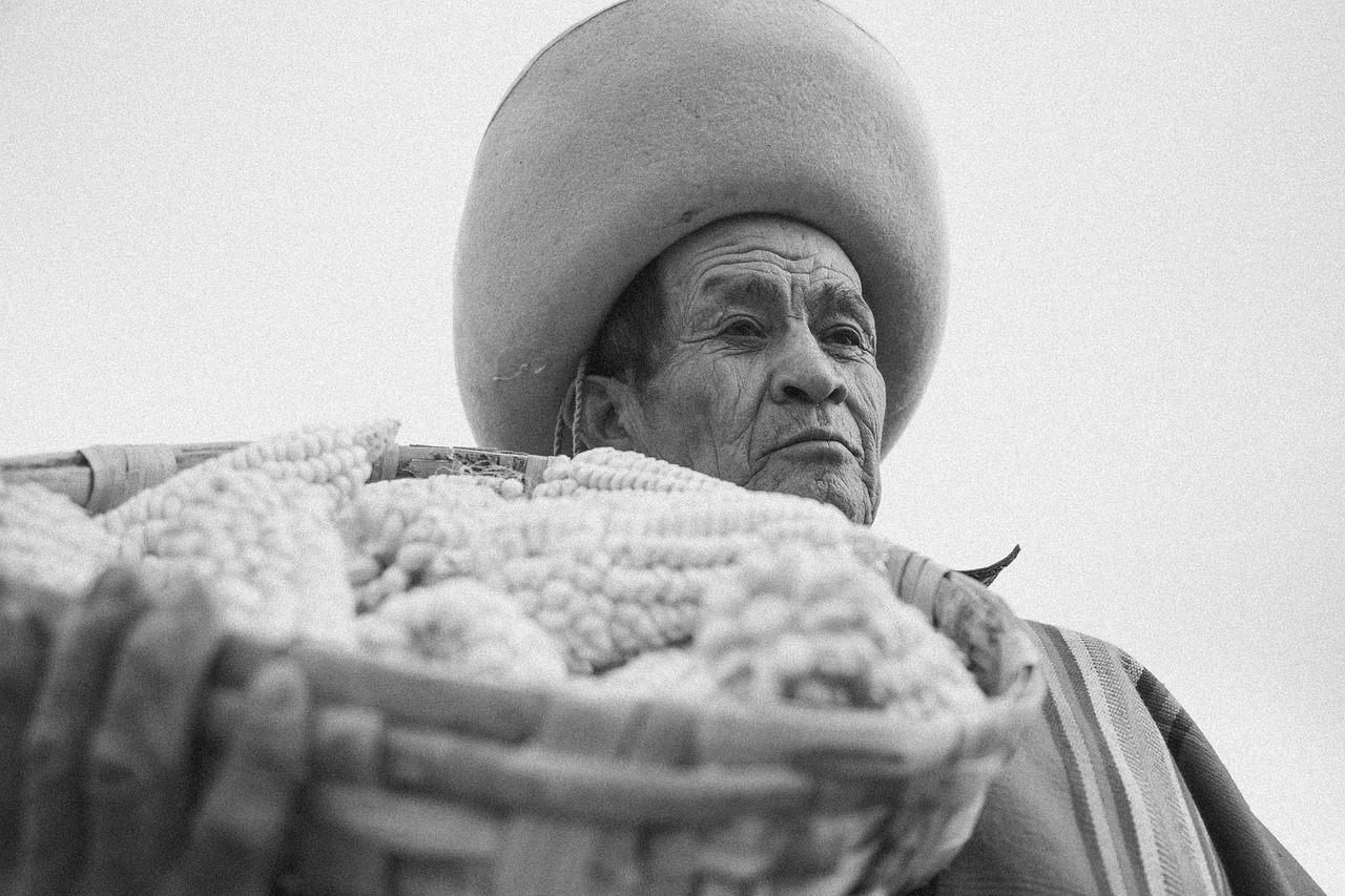 노인 보청기 내용