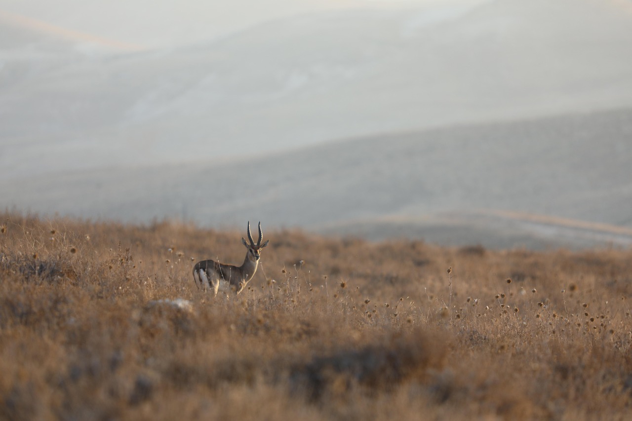 횡성 보청기 가격 싼 곳(할인)