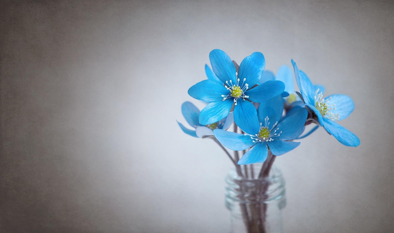 수원 보청기 가격 싼 곳(할인)