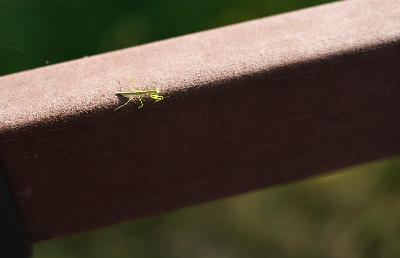 청주 상당구 보청기 가격 싼 곳(할인)