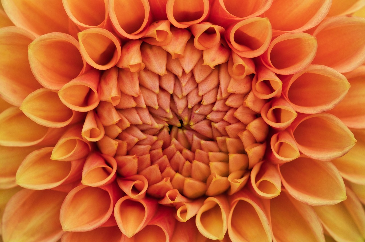 태백 보청기 가격 싼 곳(할인)