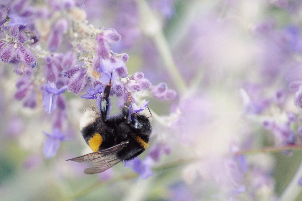 돌발성 난청 응급실 후기